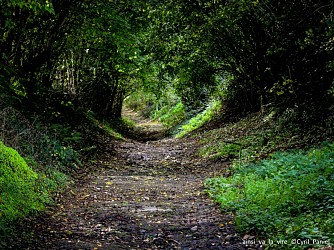 L’Échappée Verte de Marigny