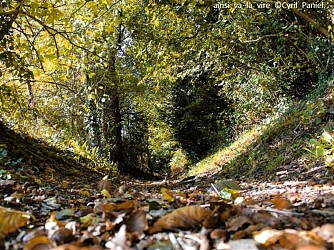 Sur les traces du Lozon