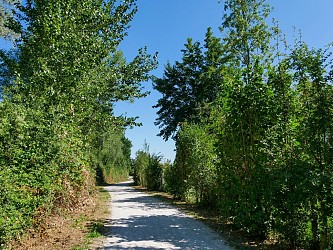 Sentier de la Libellule