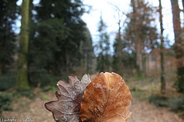 La Pierre des 4 communes