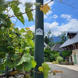 La boucle du héron - Handi'spot n°7