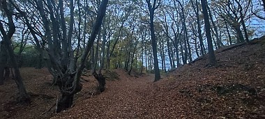Balade VTT 25,1 km à la découverte de Fléron (FL24)