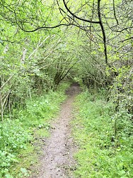 Entre bois et étangs - Circuit VTT n°2