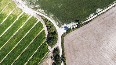 Les graviers blancs