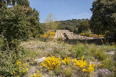 Guillestre - route de la Viste - Le pays isolé