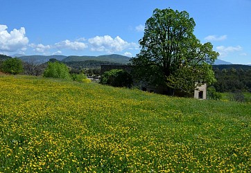 Le Fayet