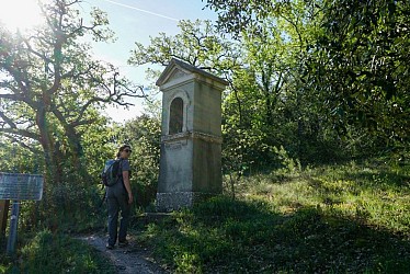 SAINT-ZACHARIE - La forêt du Défens par la piste de l'eau