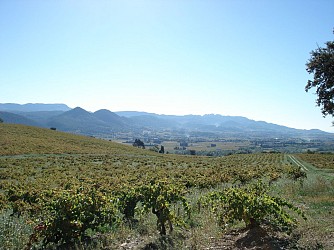 32 - Les Paysages des Côtes-du-Rhône