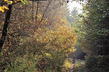 Promenade Natura 2000 Frameries-Colfontaine-Dour : Boucle B