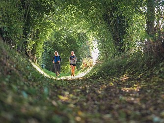Circuit n°28 - Dans les chemins creux de Montilly