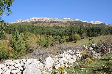 Au pied du Jocou (Base VTT Trièves - parcours n° 12)