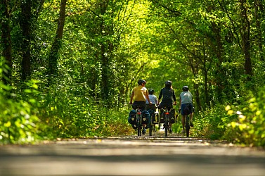 La Vélobuissonnière : voie verte La Flèche - Baugé en Anjou