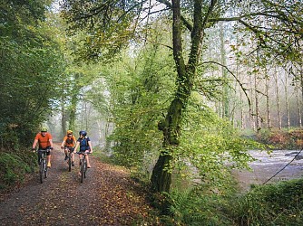 Circuit VTT n°30 - Le Bois de la Mousse