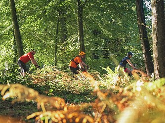 Circuit VTT n°31 - L'Orne, entre Lac et méandres - VTT-AE 8