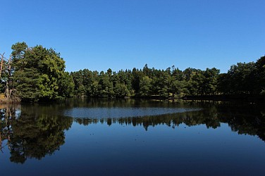 L'étang de Gasserot