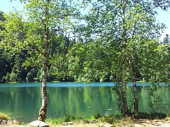 Circuit pédestre - Lac de la Maix (Vexaincourt)