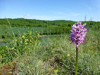 Walking trip in Siccieu: around the Étang de Bas and the Ravières Cliffs