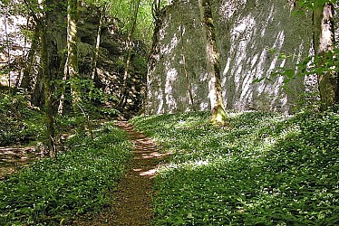 SENTIER DE DECOUVERTE DU SITE DE LA VINGEANNE