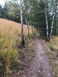 Chaudfontaine P 8 | "Sur la crete des vallées de l'Ourthe et de la Vesdre"