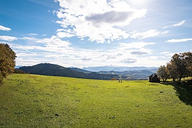 5 - Kokoitxe Handia VTT