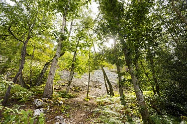 Trail - Le Tour des Alpes Mancelles