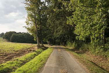 Voyage nature en Pays des Faluns