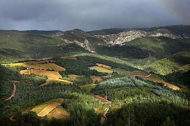RANDONNÉE FÉLINES MINERVOIS VENTAJOU