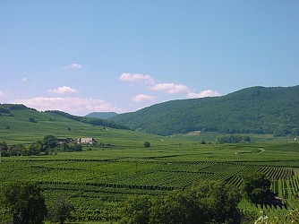 Grands Crus wine trail - Bennwihr