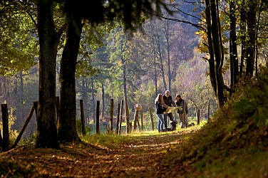 Cross-border walk to Nothweiler