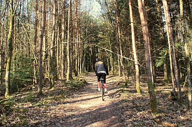 Circuit VTT des sources