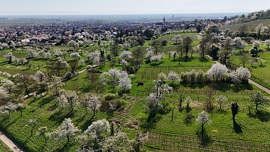 Hiking tour - Around The Cherry Tree