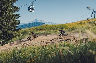 Descente du Family Run - Downhill MTB track