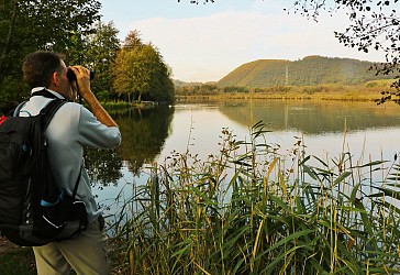 Parcours pédestre sur le sentier d'interprétation de la tourbière de Charamel