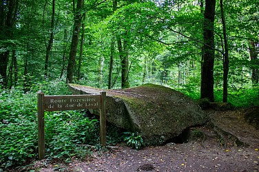 Itinéraire vélo : Litteau - Balleroy - Bayeux