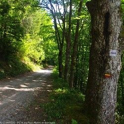 Bujaleuf à Saint-Julien-le-Petit