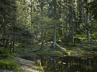 Mountain-bike circuit C03: From Etang du Coucou to Haute Loge