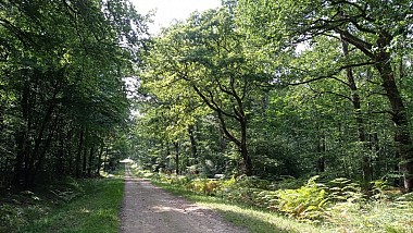 Circuit de randonnée : Sablonnière et château noir - Variante
