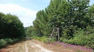 Circuit de randonnée : Vernantes - Variante