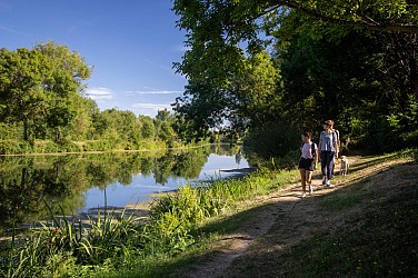 Circuit de randonnée : De bois en vigne et lavoirs - Variante