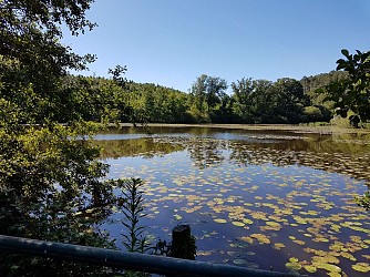 Circuit de Carabosse