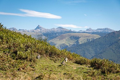 20 - Ükhümürrütia handia VTT