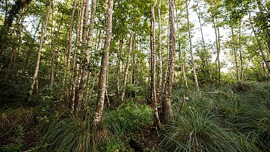 Les Bourbes - Les Sables d'Olonne Quartier d'O ...