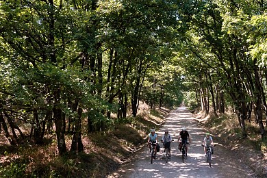 ETAPE11-MONTASTRUC LA CONSEILLERE - GRENADE -  ...