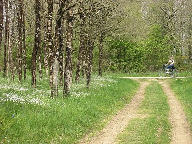 Itinéraire cyclable entre Saint Sulpice le Ver ...
