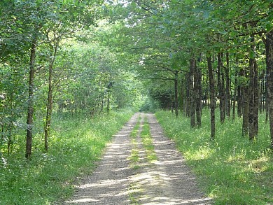 Circuit VTT de Saint Philbert de Bouaine