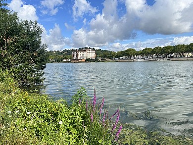 Balade sur l'Île de Beaucaire