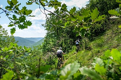 VTT N°32 - Circuit du Haut Dourdou