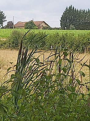 Balade à roulettes - Lac de la Prade