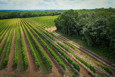 Circuit | Chemin des Chaumes | Graves-St-Amant