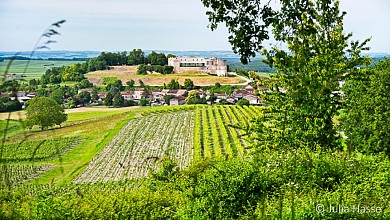 Circuit des vignes | Bouteville